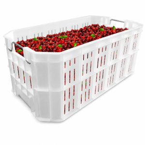 Canasto para Fruta Fina - con manija metalica (52*28*18 cm)
